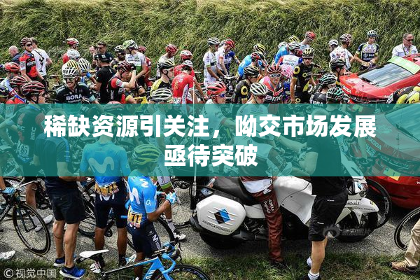 稀缺资源引关注，呦交市场发展亟待突破