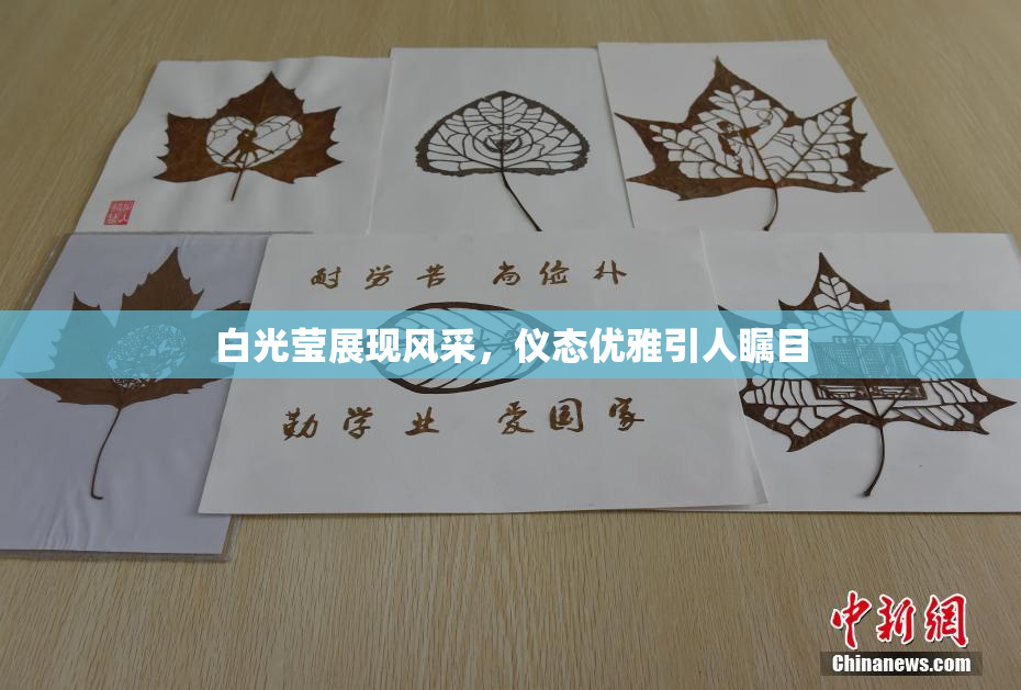 白光莹展现风采，仪态优雅引人瞩目