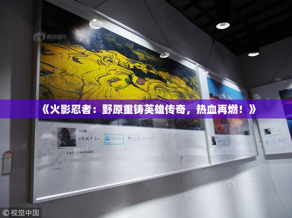 《火影忍者：野原重铸英雄传奇，热血再燃！》