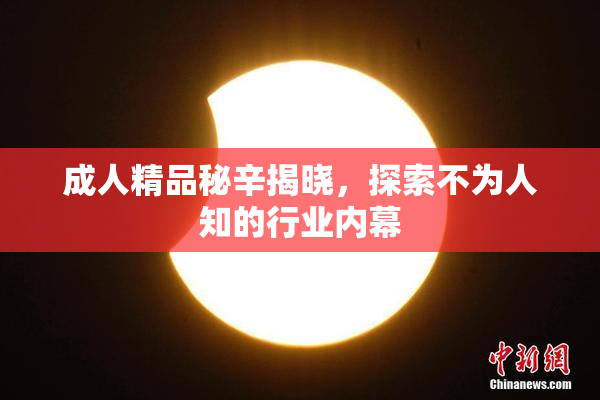成人精品秘辛揭晓，探索不为人知的行业内幕