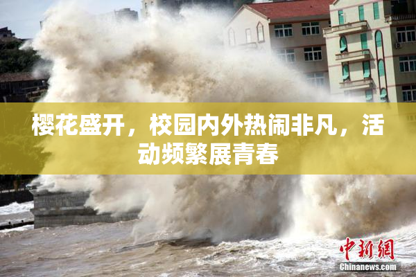 樱花盛开，校园内外热闹非凡，活动频繁展青春