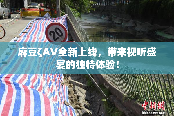 麻豆ζAV全新上线，带来视听盛宴的独特体验！