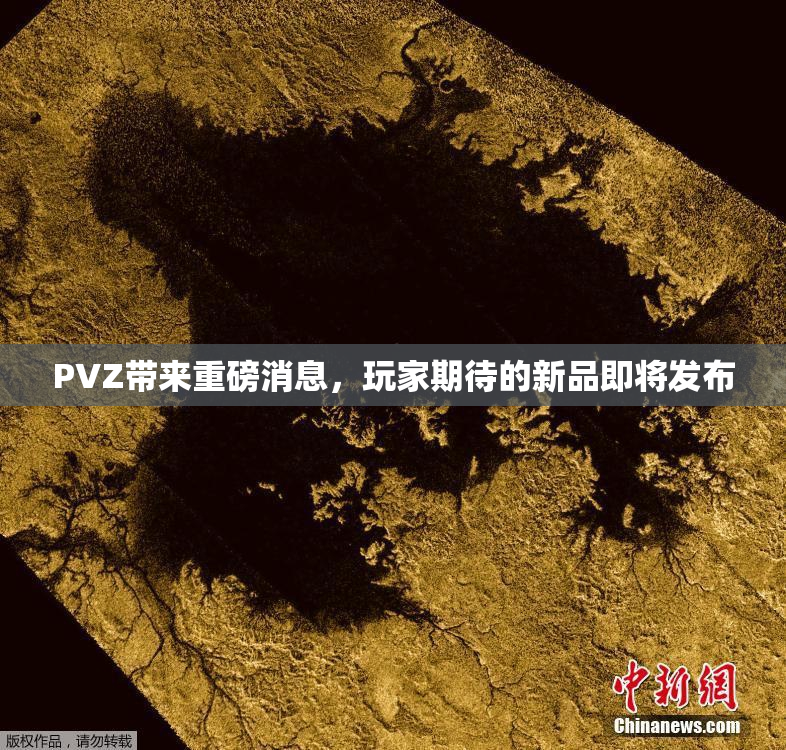 PVZ带来重磅消息，玩家期待的新品即将发布