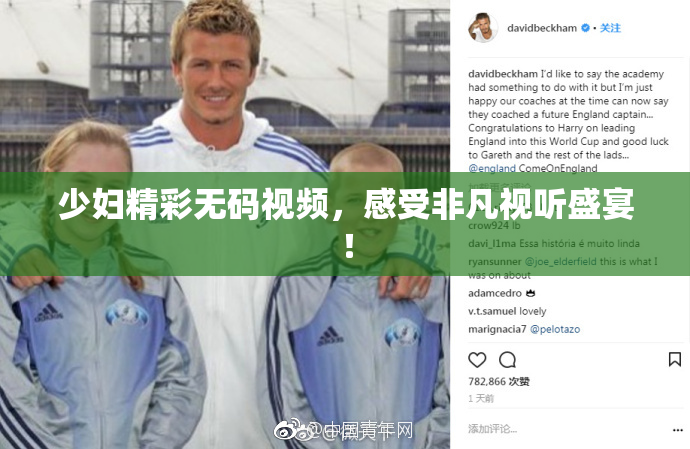 少妇精彩无码视频，感受非凡视听盛宴！