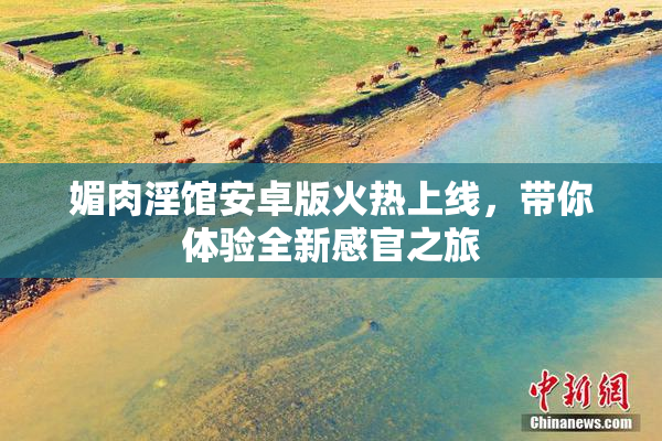 媚肉淫馆安卓版火热上线，带你体验全新感官之旅