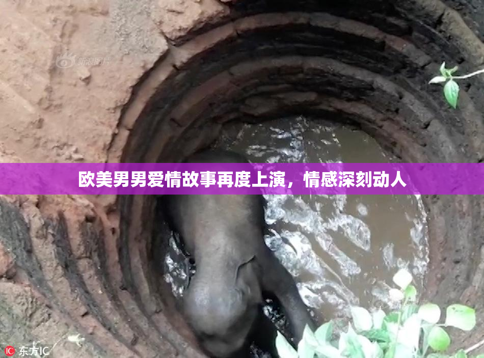 欧美男男爱情故事再度上演，情感深刻动人