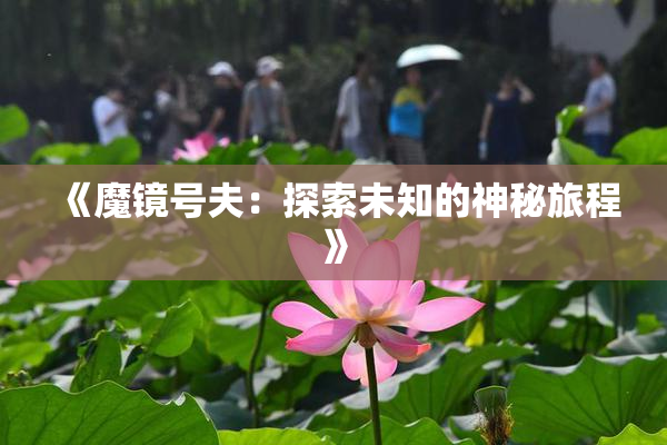 《魔镜号夫：探索未知的神秘旅程》