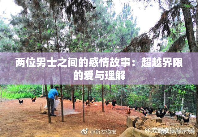 两位男士之间的感情故事：超越界限的爱与理解
