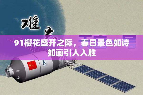 91樱花盛开之际，春日景色如诗如画引人入胜