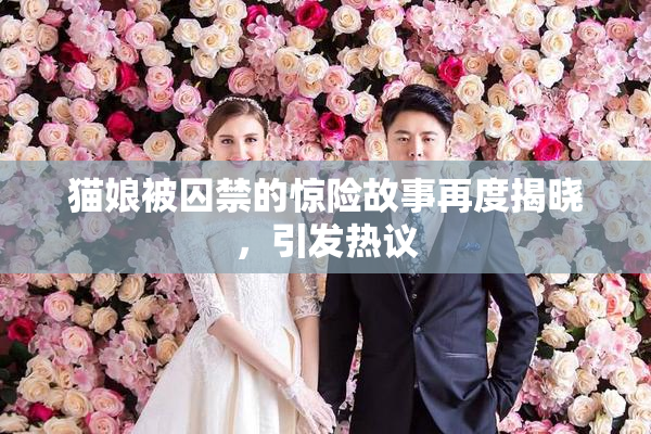 猫娘被囚禁的惊险故事再度揭晓，引发热议