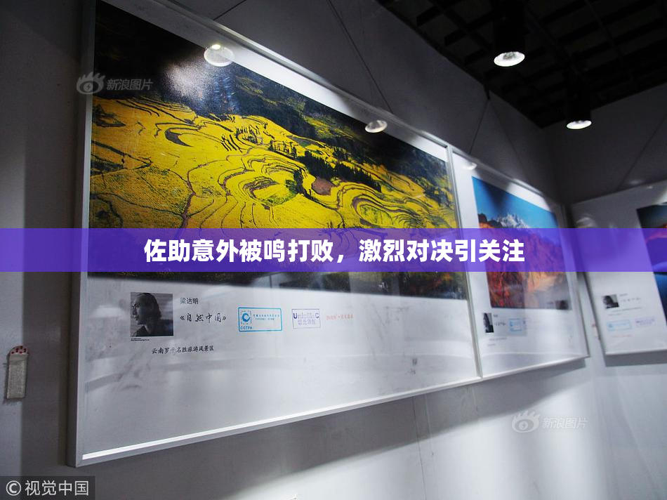 佐助意外被鸣打败，激烈对决引关注
