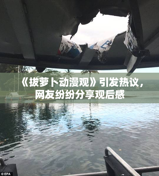 《拔萝卜动漫观》引发热议，网友纷纷分享观后感