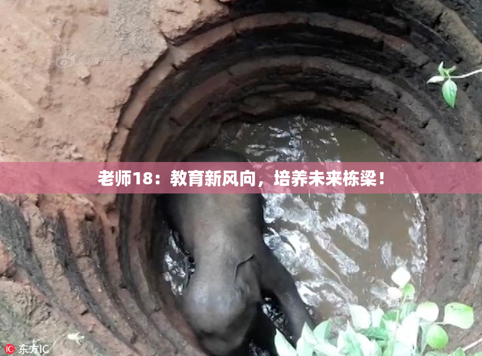 老师18：教育新风向，培养未来栋梁！