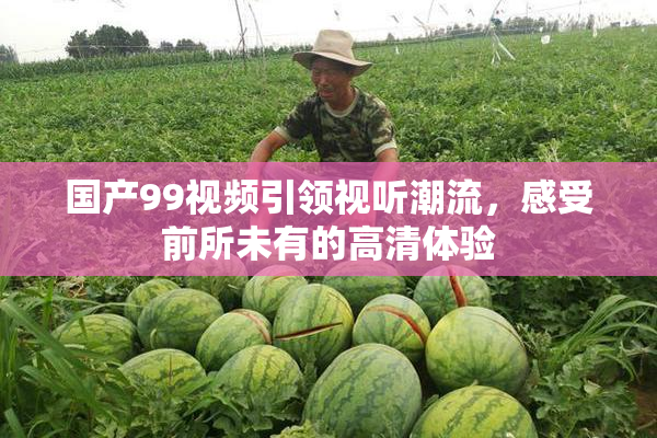国产99视频引领视听潮流，感受前所未有的高清体验