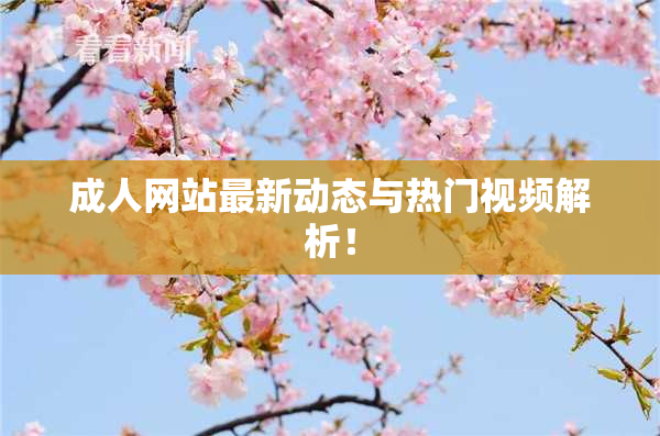 成人网站最新动态与热门视频解析！