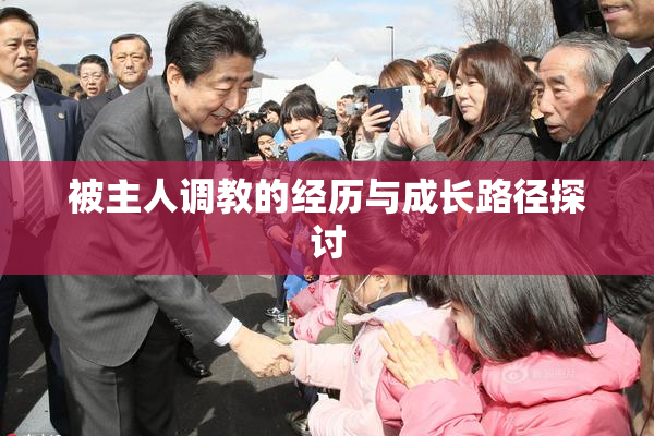 被主人调教的经历与成长路径探讨