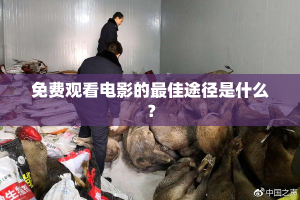 免费观看电影的最佳途径是什么？