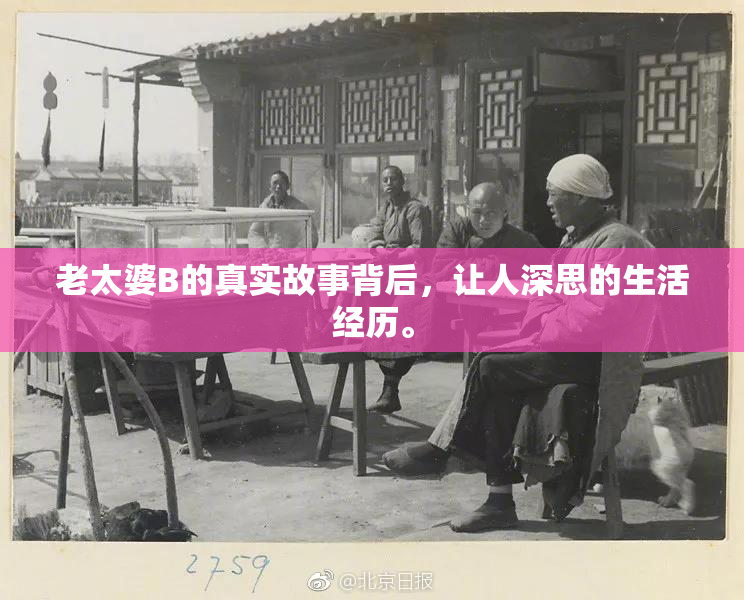 老太婆B的真实故事背后，让人深思的生活经历。