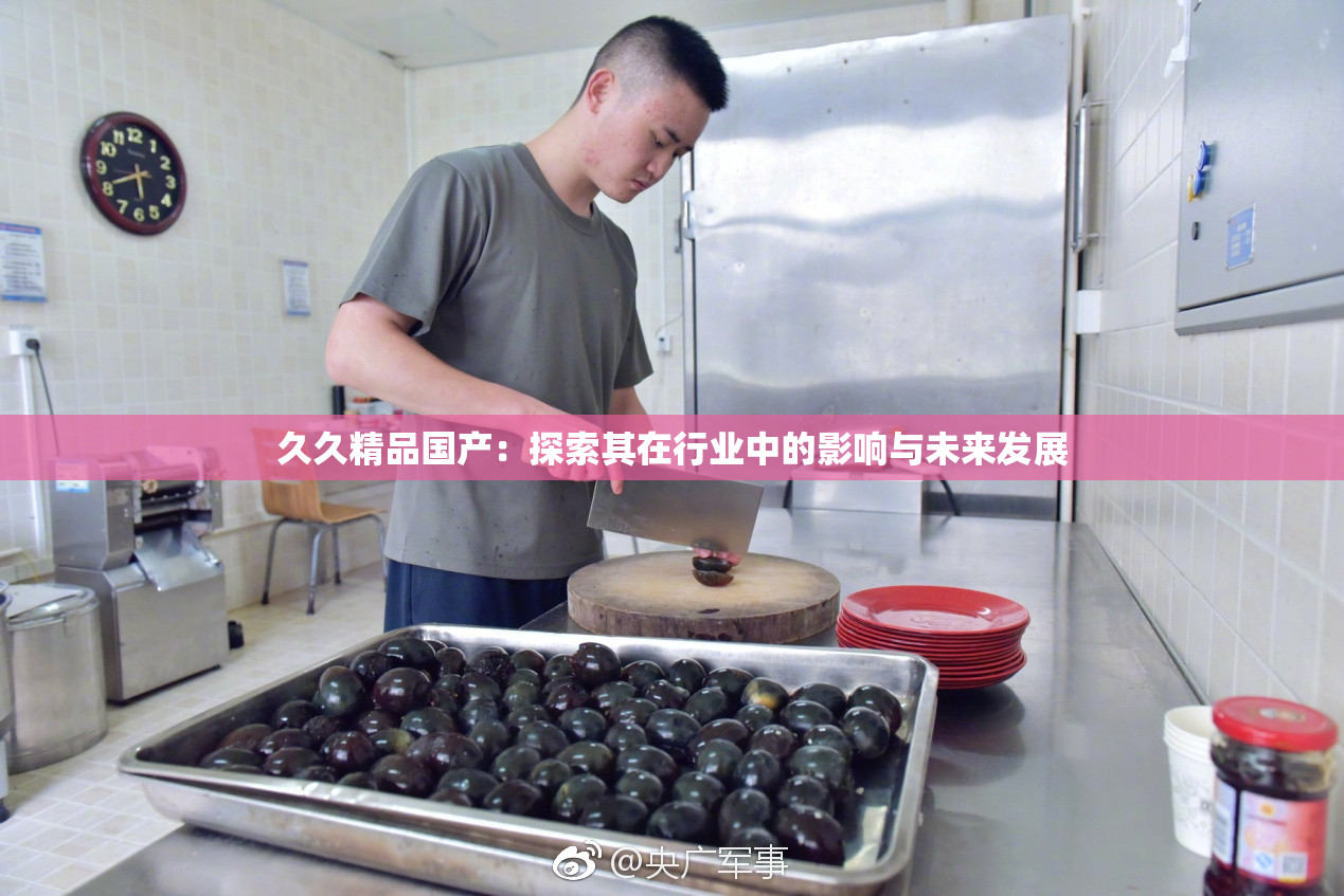 久久精品国产：探索其在行业中的影响与未来发展