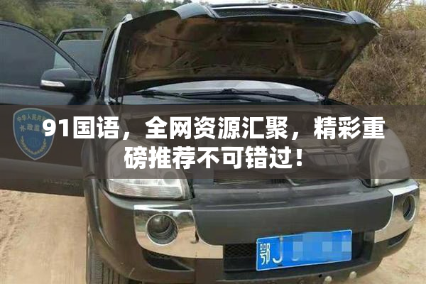 91国语，全网资源汇聚，精彩重磅推荐不可错过！