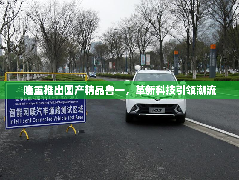 隆重推出国产精品鲁一，革新科技引领潮流