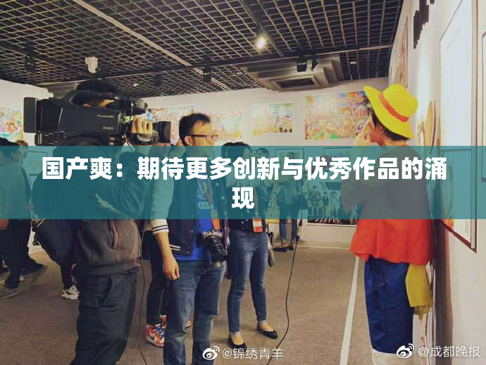 国产爽：期待更多创新与优秀作品的涌现