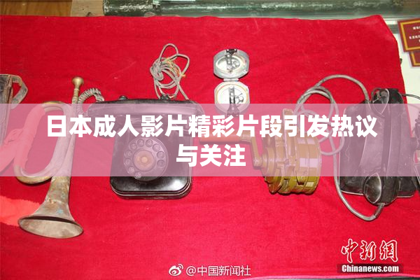 日本成人影片精彩片段引发热议与关注