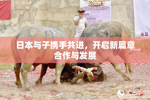 日本与子携手共进，开启新篇章合作与发展