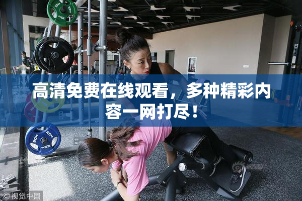 高清免费在线观看，多种精彩内容一网打尽！