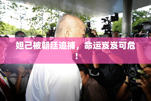 妲己被朝廷追捕，命运岌岌可危！