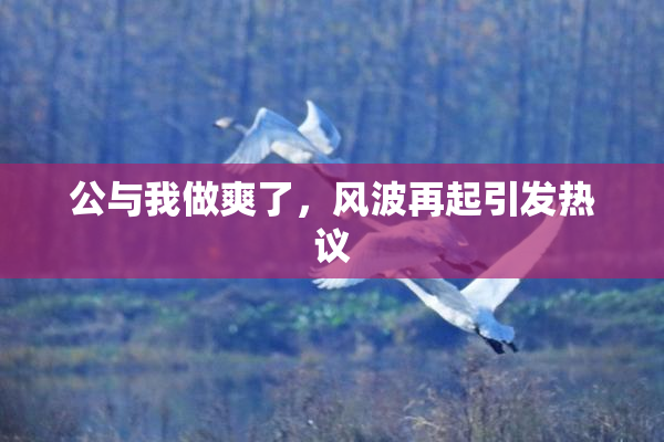 公与我做爽了，风波再起引发热议