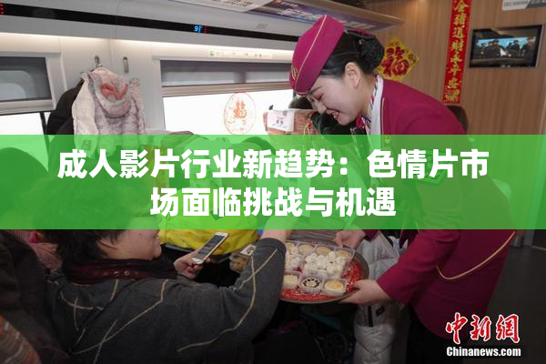 成人影片行业新趋势：色情片市场面临挑战与机遇