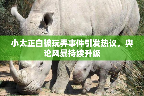 小太正白被玩弄事件引发热议，舆论风暴持续升级