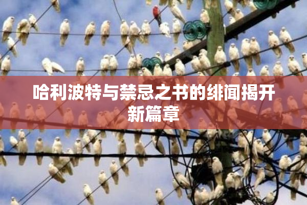 哈利波特与禁忌之书的绯闻揭开新篇章