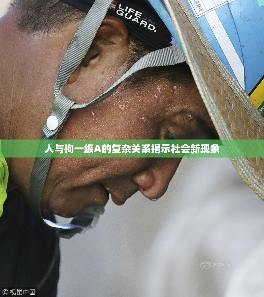 人与拘一级A的复杂关系揭示社会新现象
