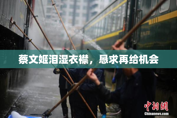 蔡文姬泪湿衣襟，恳求再给机会