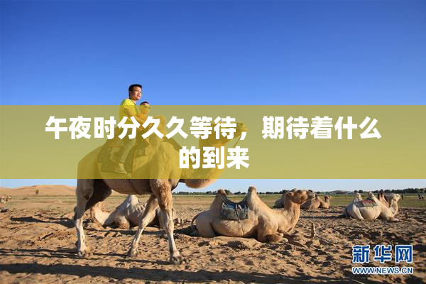 午夜时分久久等待，期待着什么的到来
