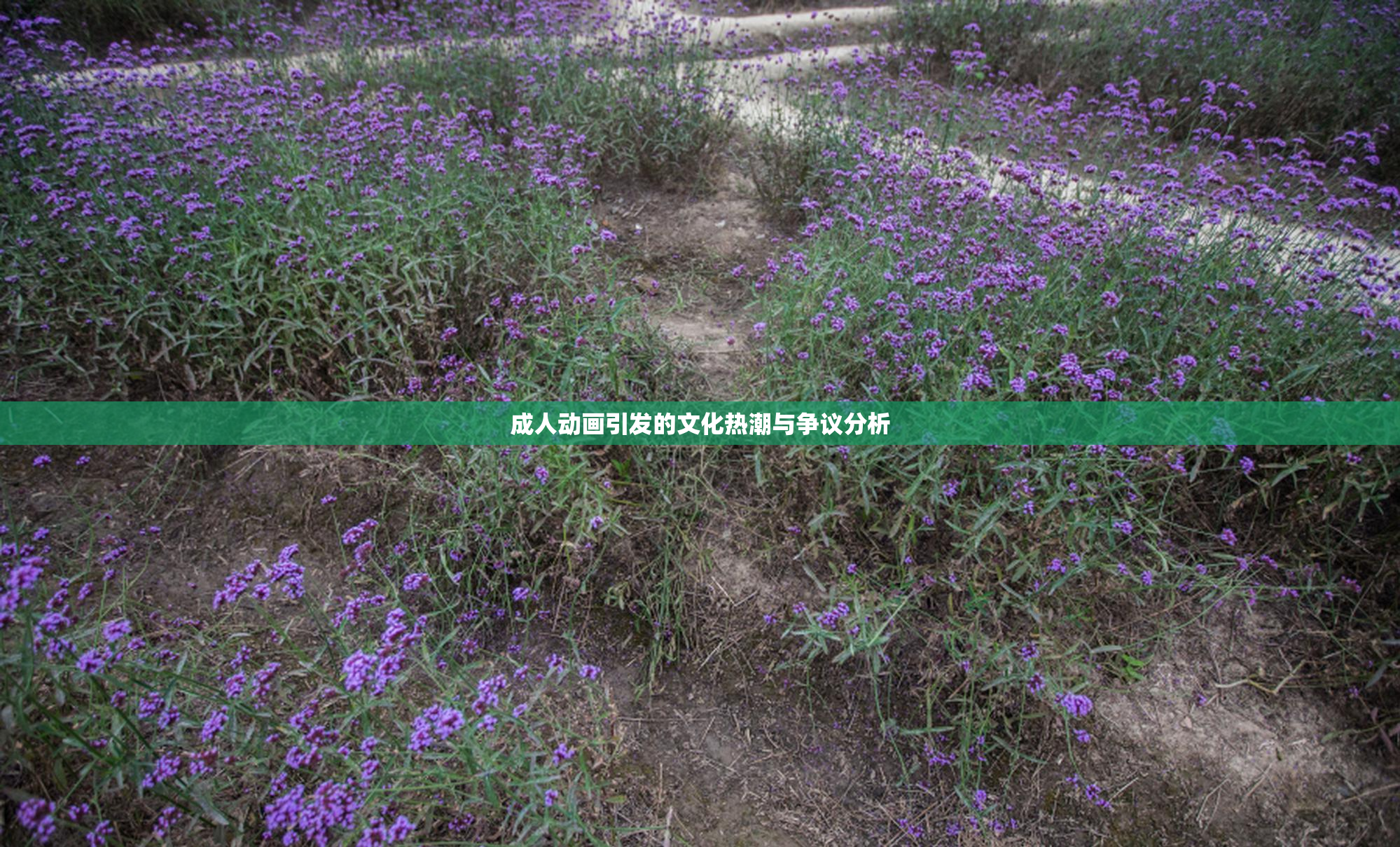 成人动画引发的文化热潮与争议分析