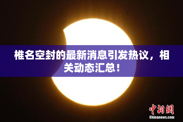椎名空封的最新消息引发热议，相关动态汇总！