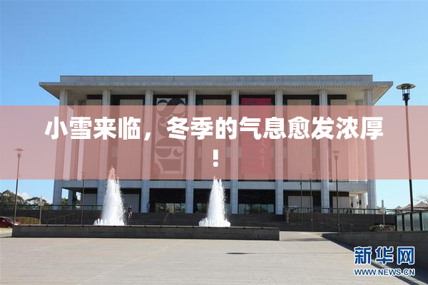 小雪来临，冬季的气息愈发浓厚!