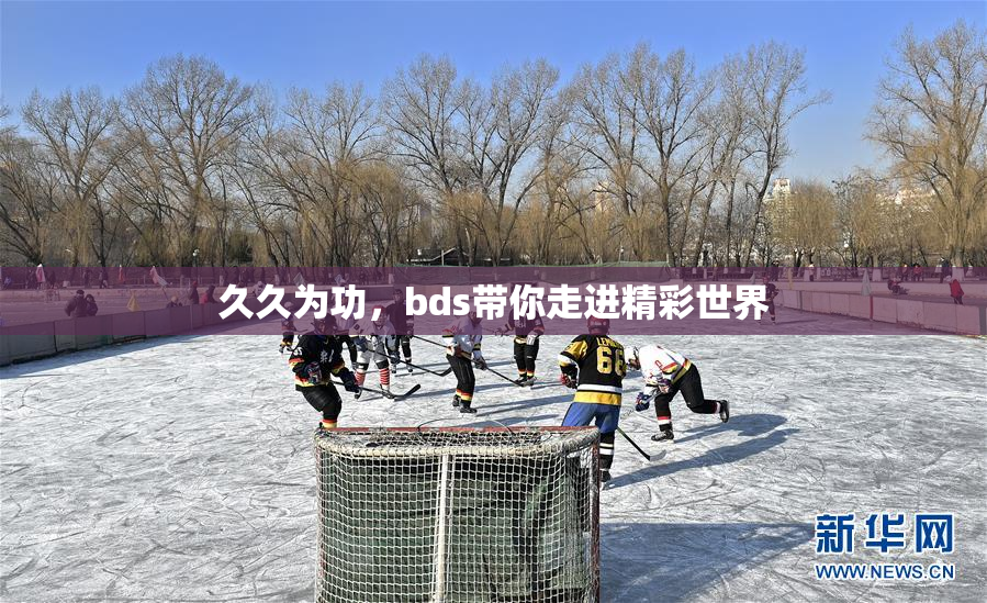 久久为功，bds带你走进精彩世界