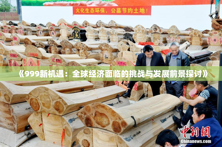 《999新机遇：全球经济面临的挑战与发展前景探讨》