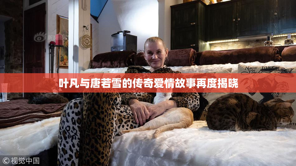 叶凡与唐若雪的传奇爱情故事再度揭晓