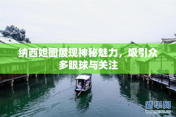 纳西妲图展现神秘魅力，吸引众多眼球与关注