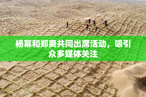杨幂和郑爽共同出席活动，吸引众多媒体关注