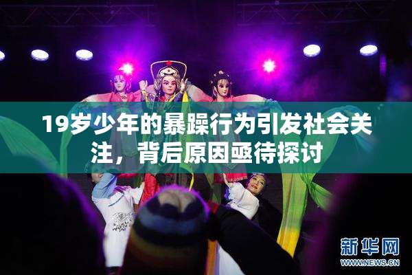19岁少年的暴躁行为引发社会关注，背后原因亟待探讨