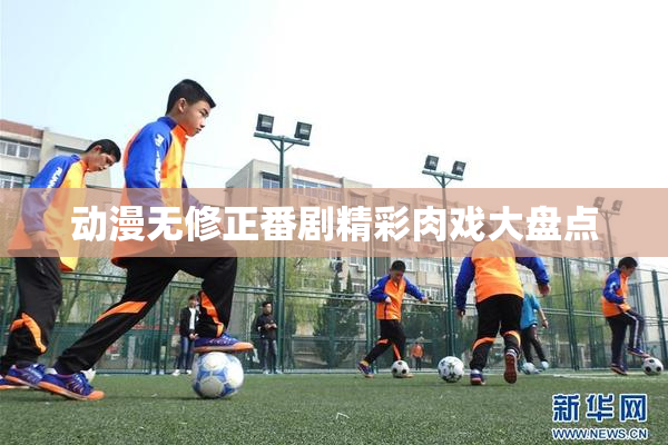 动漫无修正番剧精彩肉戏大盘点