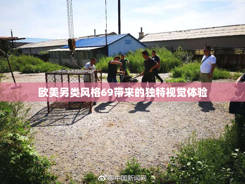 欧美另类风格69带来的独特视觉体验