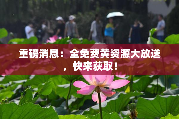 重磅消息：全免费黄资源大放送，快来获取！