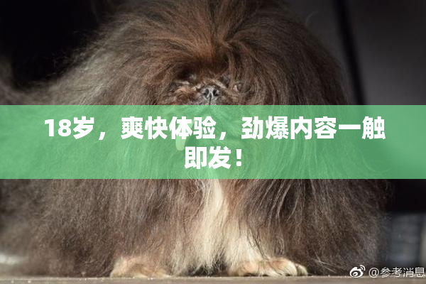 18岁，爽快体验，劲爆内容一触即发！